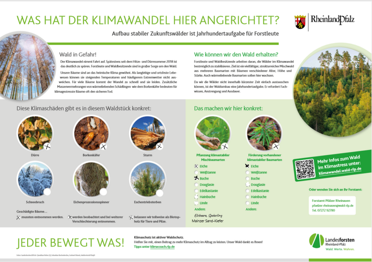 Bild zu FAHRADTOUR zur Geschichte und Zukunft des Lennebergwaldes