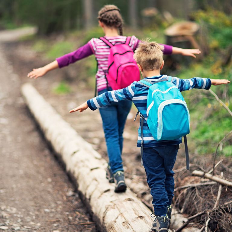 Bild zu WaldWissen am Freitagnachmittag - Waldfühling